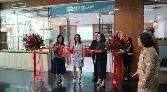 Pahami Target Market Kunci Perkuat Bisnis dari UPH SPARKLABS dan Vidio.com