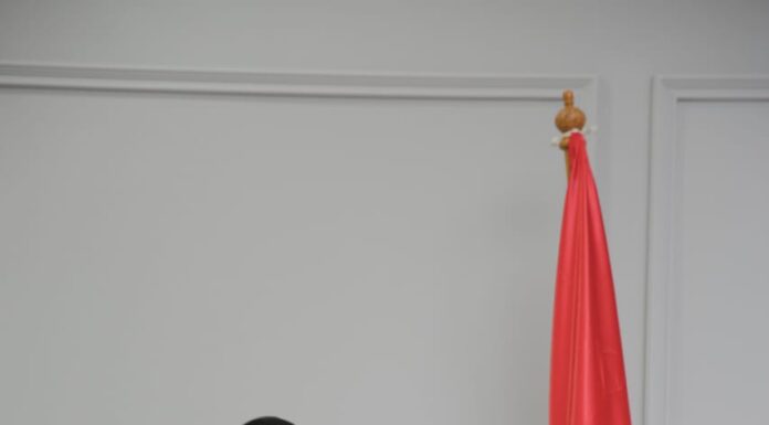 Pembangunan Kawasan Terpadu Pantura Dan Pemulihan Ekonomi Negara