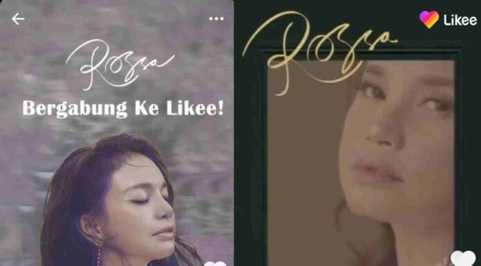 Aplikasi Video Pendek Makin Naik Daun di Kalangan Musisi dan Artis, Ini Alasannya!