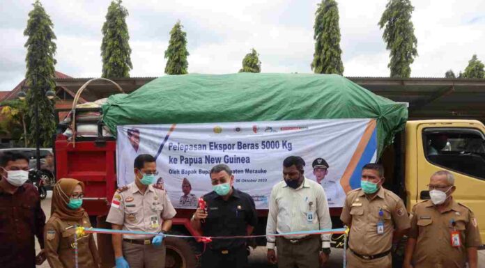 Kembali Ekspor Beras ke Papua New Guinea, Bukti Pertanian Merauke Semakin Maju