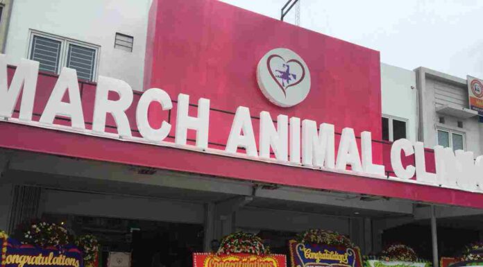Grand Opening “March Animal Clinic”