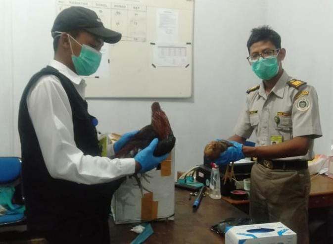 SAVE_20210305_105247