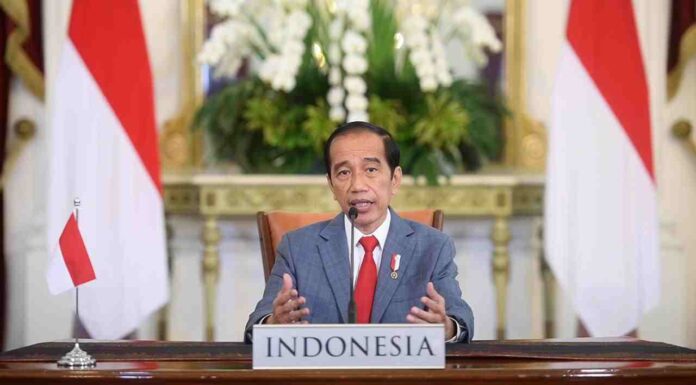 Presiden Jokowi Sampaikan Tiga Pandangan pada KTT Perubahan Iklim