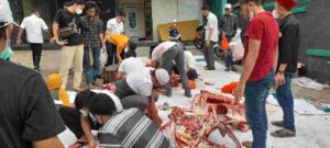 Rayakan Idul Adha 2021, PB HMI Adakan Vaksinasi dan Sembelih 7 Ekor Hewan Kurban
