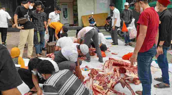 Rayakan Idul Adha 2021, PB HMI Adakan Vaksinasi dan Sembelih 7 Ekor Hewan Kurban