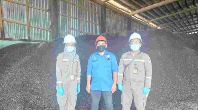 1.733 Ton Inti Kelapa Sawit Asal Boven Digoel Dikirim Ke Bontang