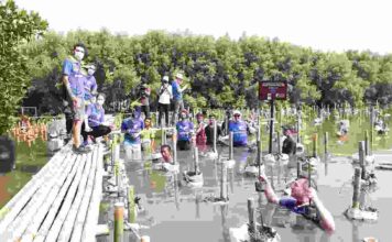 Dukung Konservasi: Enam Duta Besar Eropa Tanam 75 Pohon Mangrove di TWA – Angke