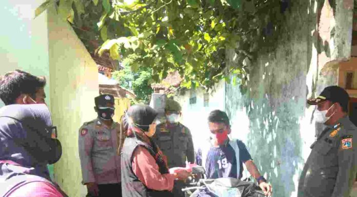 Syamsu Rijal: Tokoh Perintis Budi Daya Kelor di Tangerang Selatan.