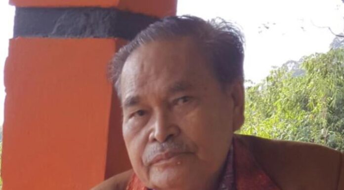 PERANAN LEMBAGA MASYARAKAT HUKUM ADAT (MAHUDAT) BATAK DALAM MENANGANI FENOMENA SOSIAL