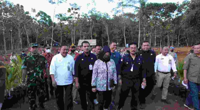 Kunjungi Sukoharjo, Mentan SYL Cek Persiapan Pengembangan Kelapa Genjah 1 Juta Batang