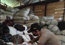 Ratusan Ton Komoditas Perkebunan Asal Bade Berlayar Ke Surabaya