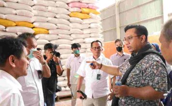 Ombudsman Ingatkan Pemerintah Penuhi Indikator Pengambilan Keputusan Impor Beras
